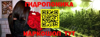 jwh Рыбинск