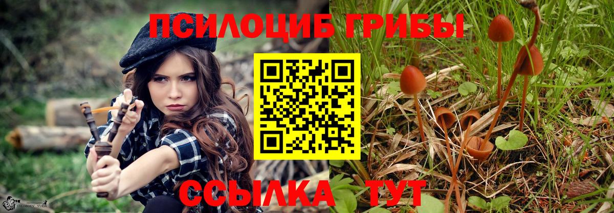 Прокопьевск  Псилоцибиновые грибы мицелий  Вход с VPN 