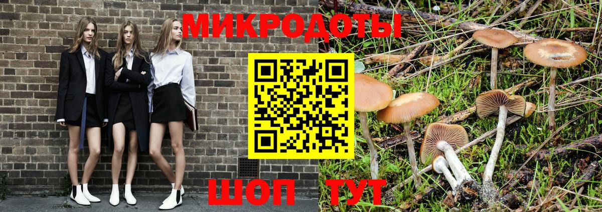 Галлюциногенные грибы Cubensis Прокопьевск